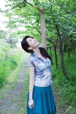 一枝梅在线观看免费完整版